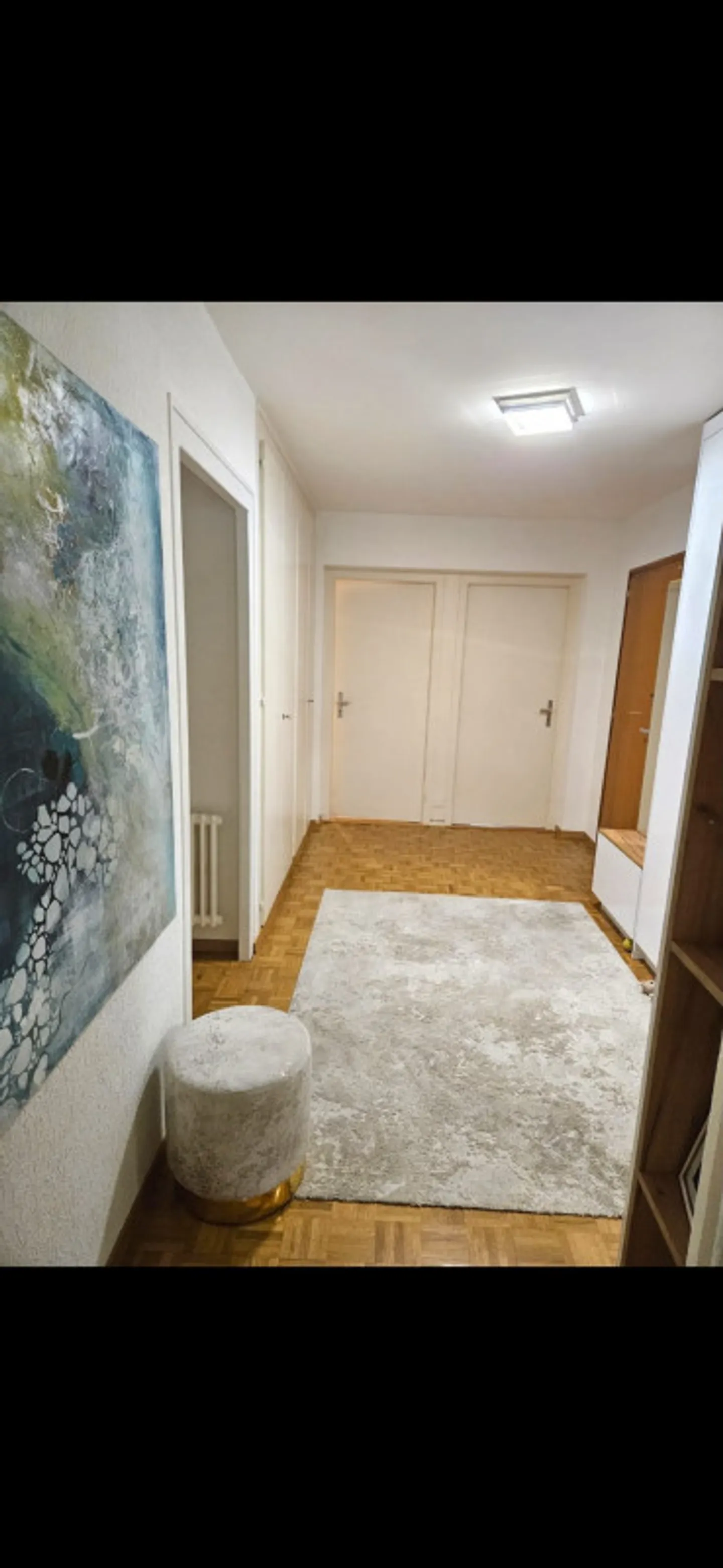 Bright 4-Room Apartment in Perly - Photo 9 of 12