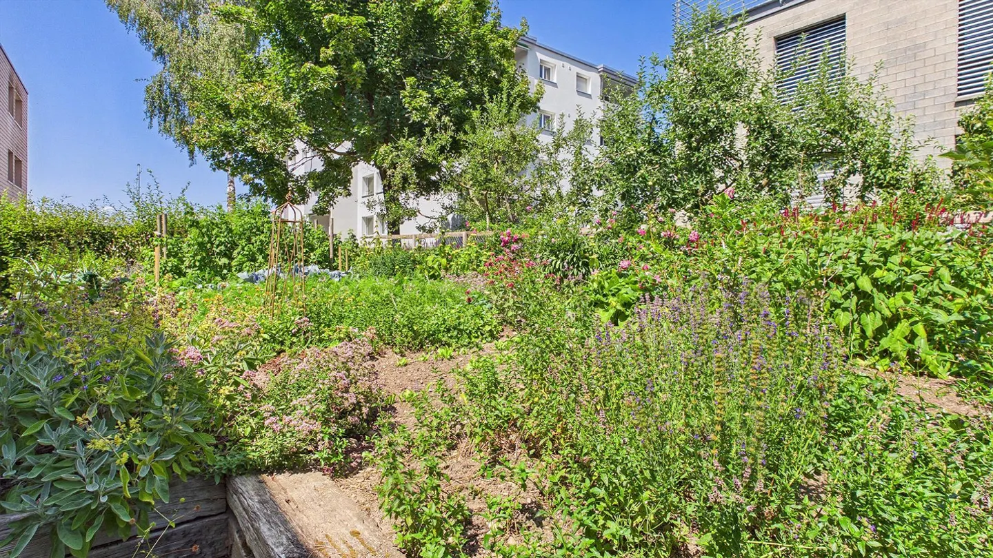 Maison d'architecte unique à Sumiswald - Photo 6 sur 24