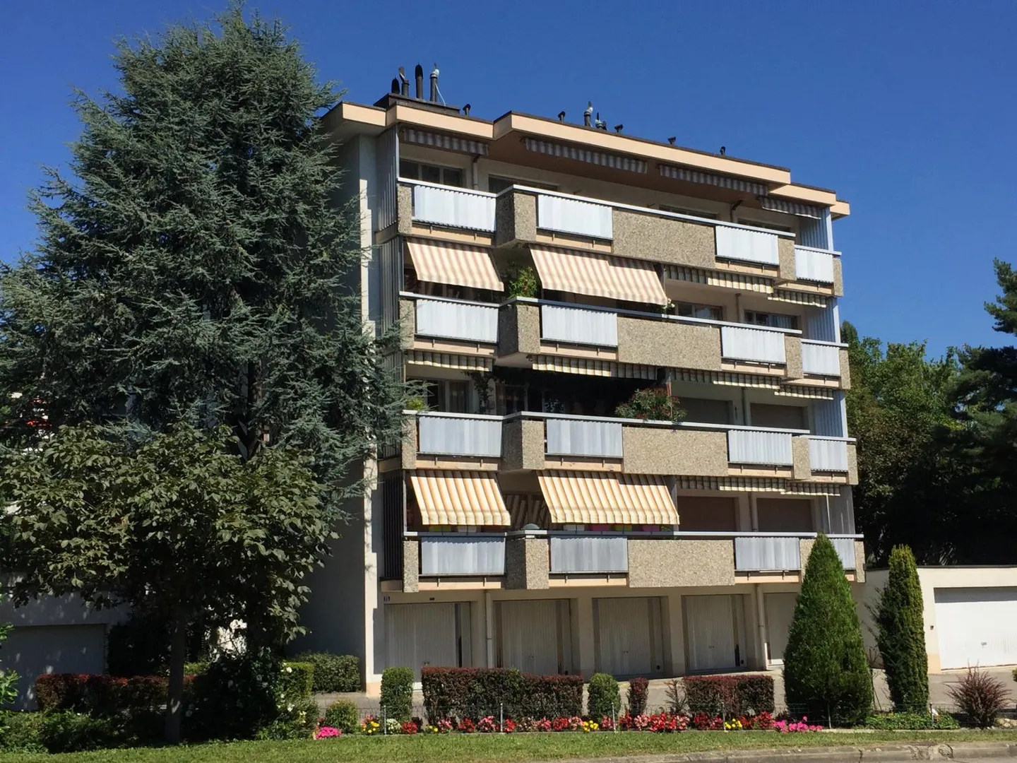 Refreshed 2.5 room apartment, ground floor, approx. 54 m2 - Photo 1 of 1