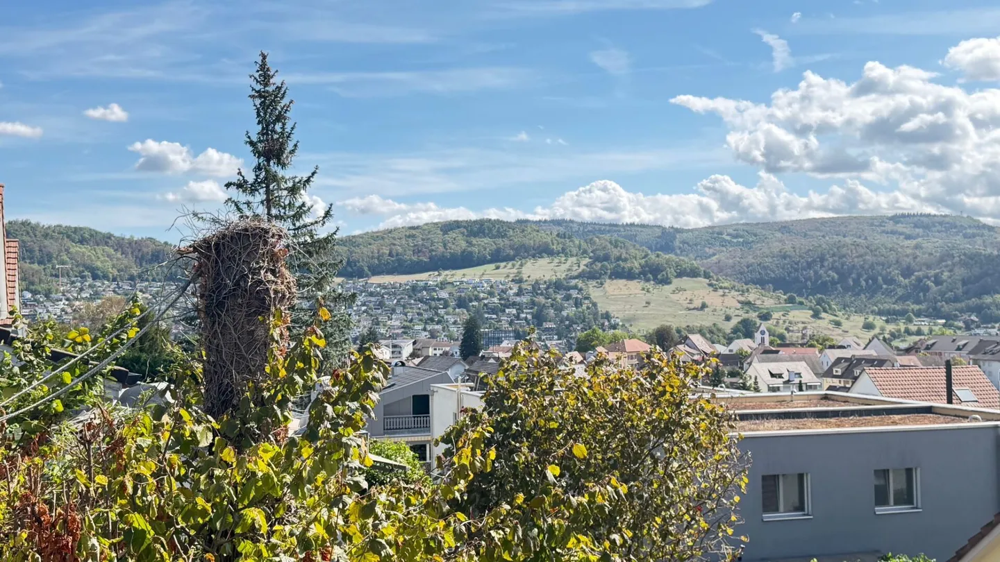Detached single-family house with large terrace in Frenkendorf - Photo 12 of 16
