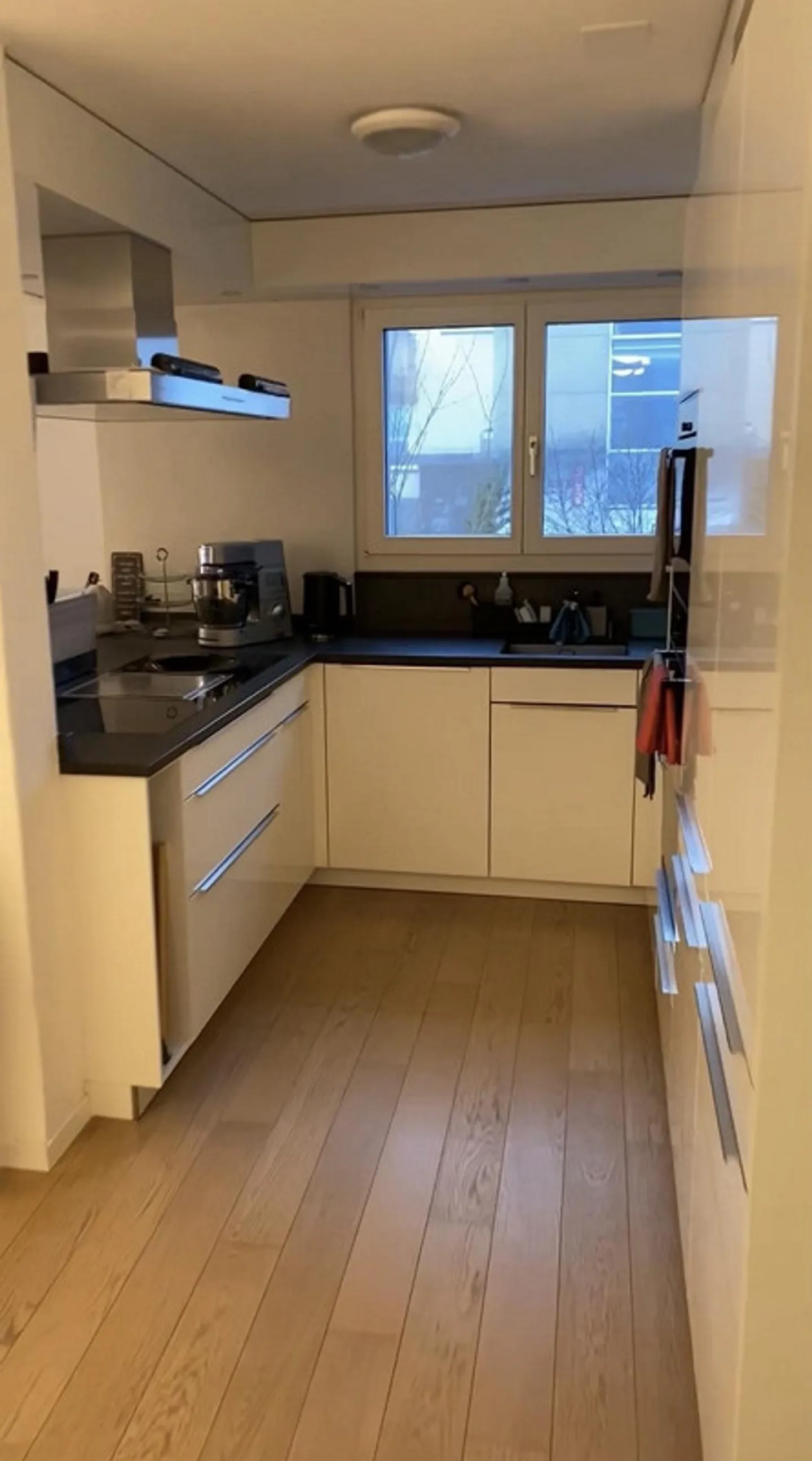 Appartement de 4,5 pièces standard de propriété - Photo 4 sur 13