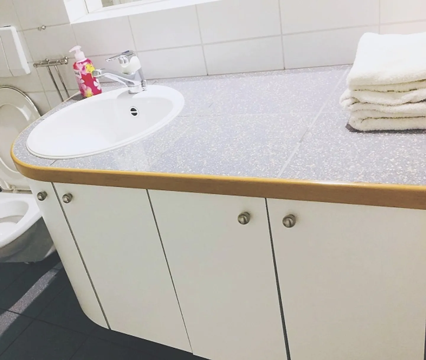 APPARTEMENT 2 PIÈCES À BASEL - WETTSTEIN, MEUBLÉ, TEMPORAIRE - Photo 6 sur 7