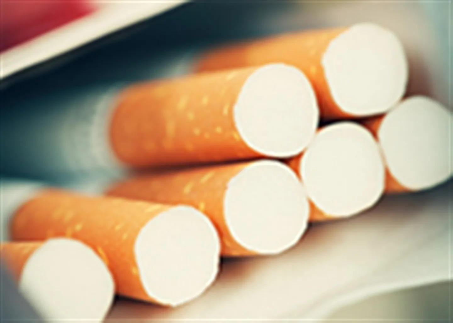 IL KIOSK DI VEVEY VIENE CONSEGNATO NEL CENTRO CITTADINO - Foto 1 di 1