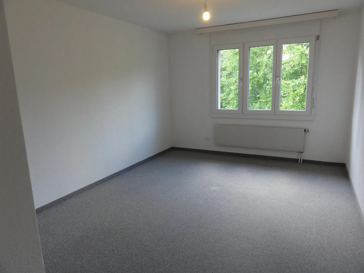 Spacious 4.5-room apartment in a quiet location on the edge of the village - Photo 4 of 15