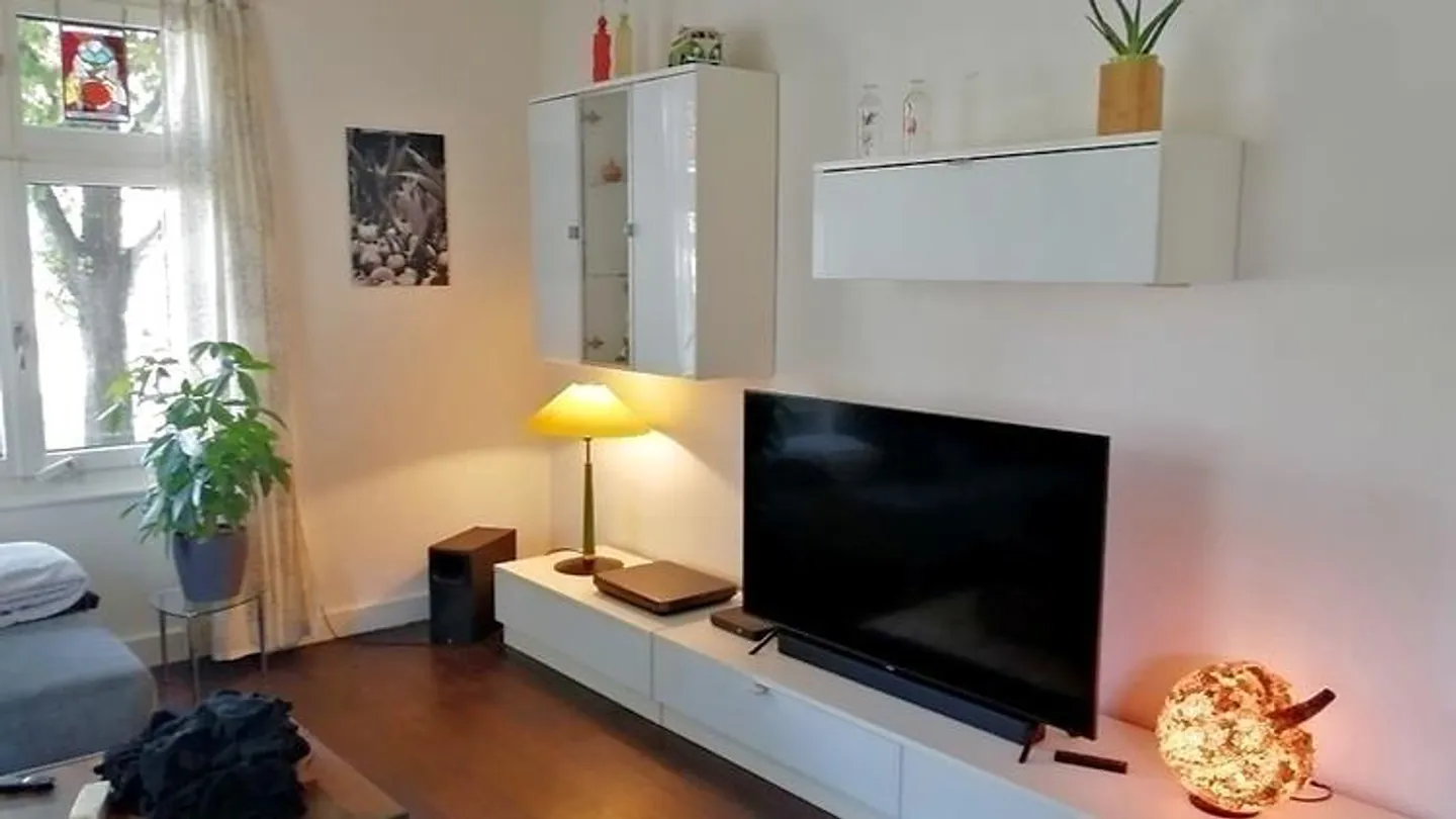 Appartamento 4 locali a Basilea - Città vecchia/Kleinbasel, arredato, temporaneo - Foto 2 di 11