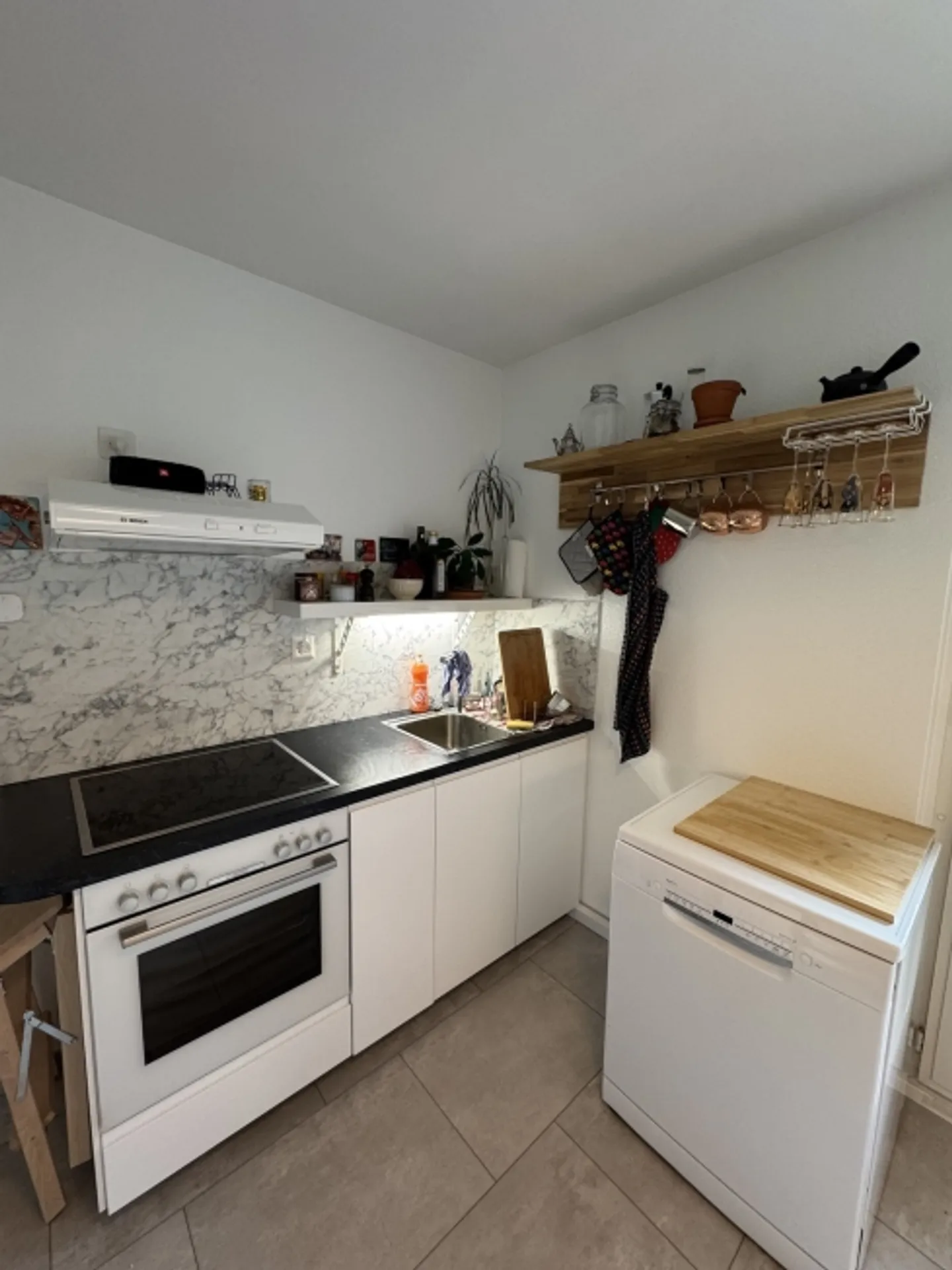 3½ ROOM APARTMENT IN BASEL - ST. JOHANN, FURNISHED, TEMPORARY - Photo 4 of 10