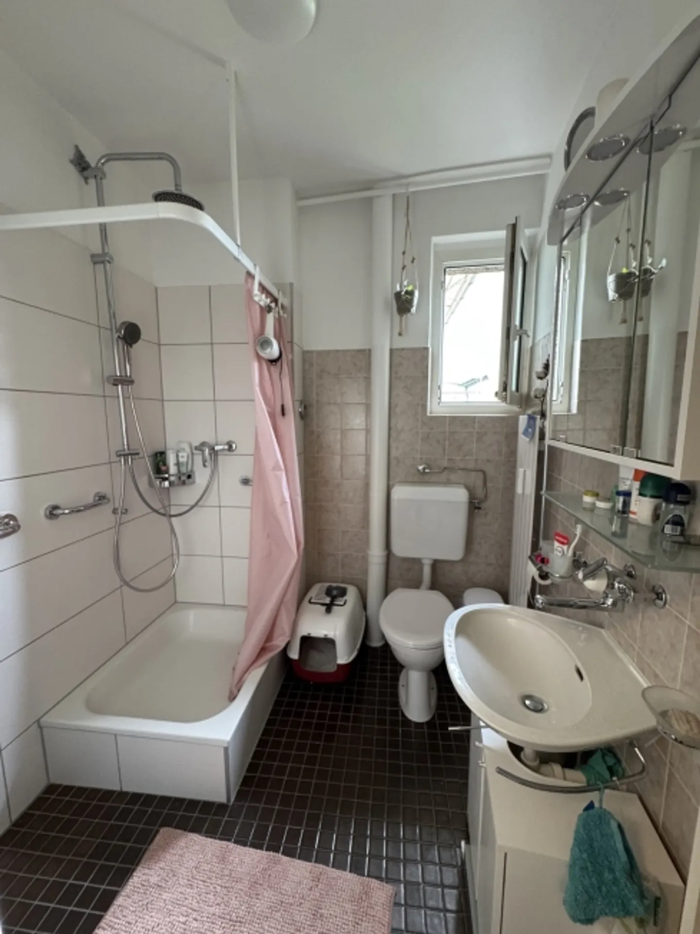 3½ ROOM APARTMENT IN BASEL - ST. JOHANN, FURNISHED, TEMPORARY - Photo 9 of 10