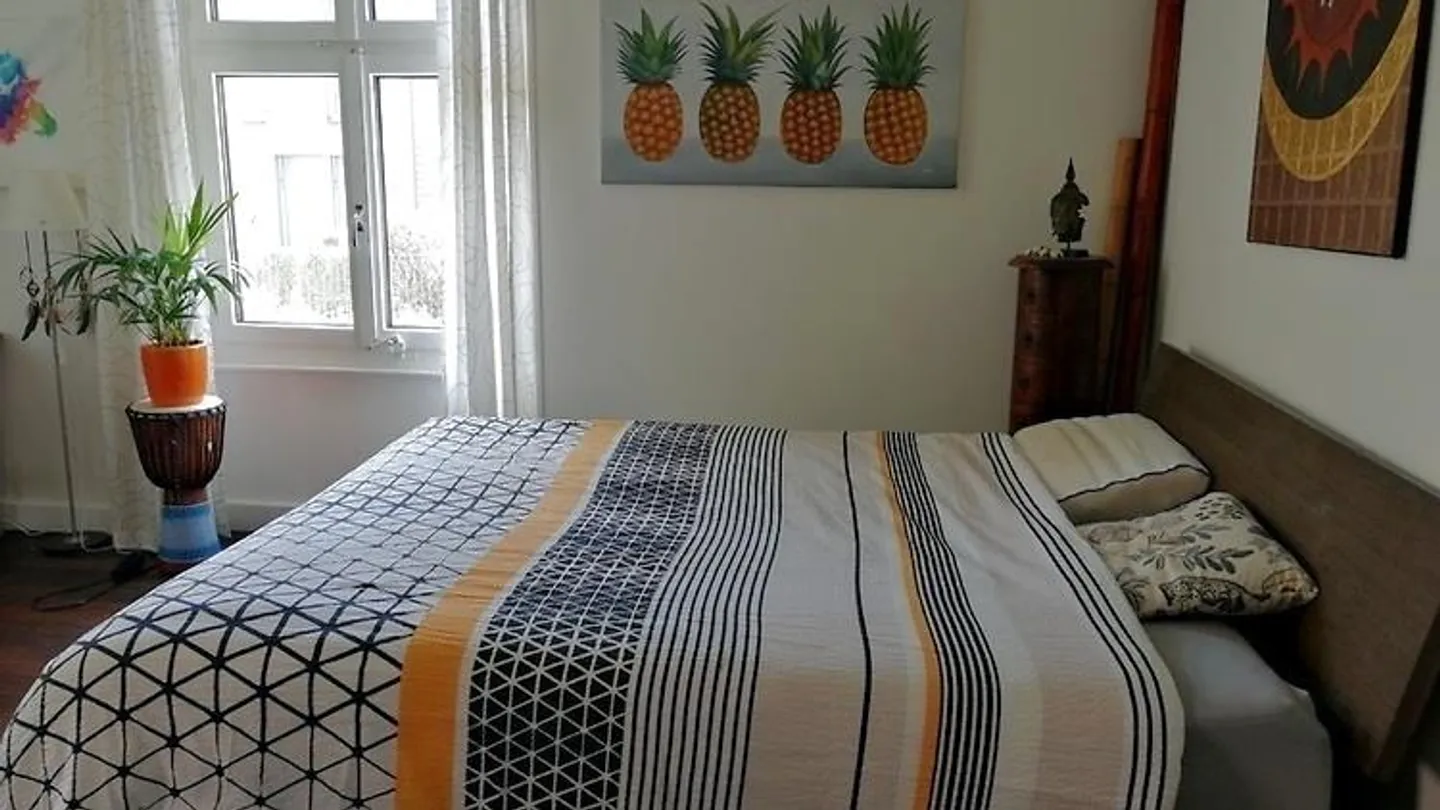Appartamento 4 locali a Basilea - Città vecchia/Kleinbasel, arredato, temporaneo - Foto 7 di 11