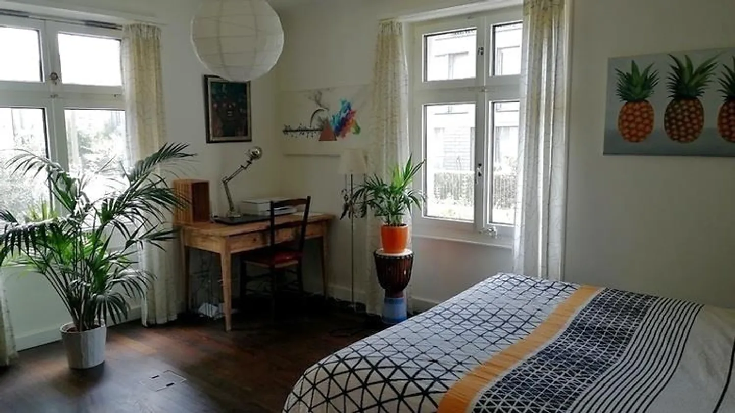 Appartamento 4 locali a Basilea - Città vecchia/Kleinbasel, arredato, temporaneo - Foto 8 di 11