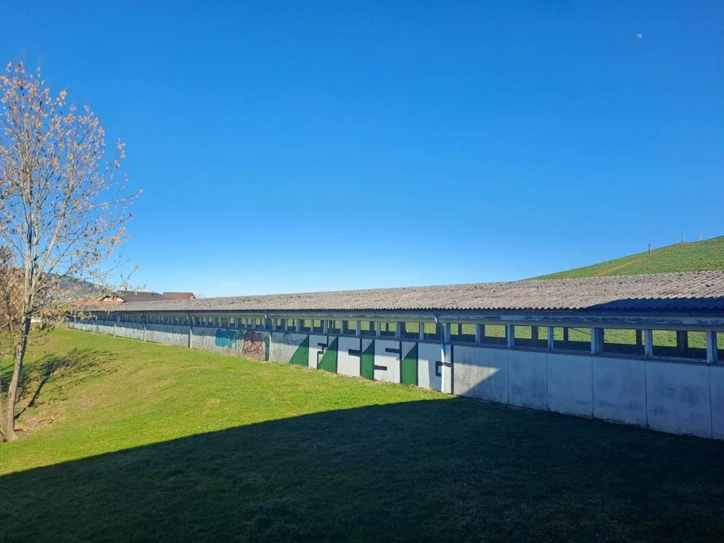 Grande surface de stockage (413 m²) à l'ouest de Saint-Gall - Photo 1 sur 8