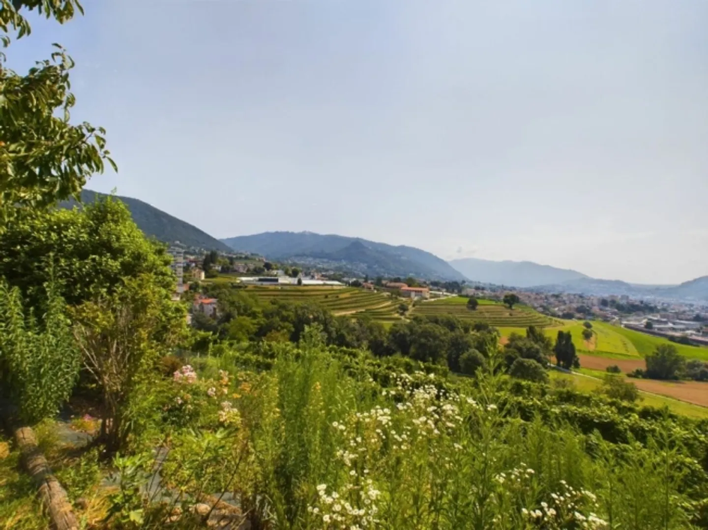 Casa singola in affitto - Foto 1 di 12