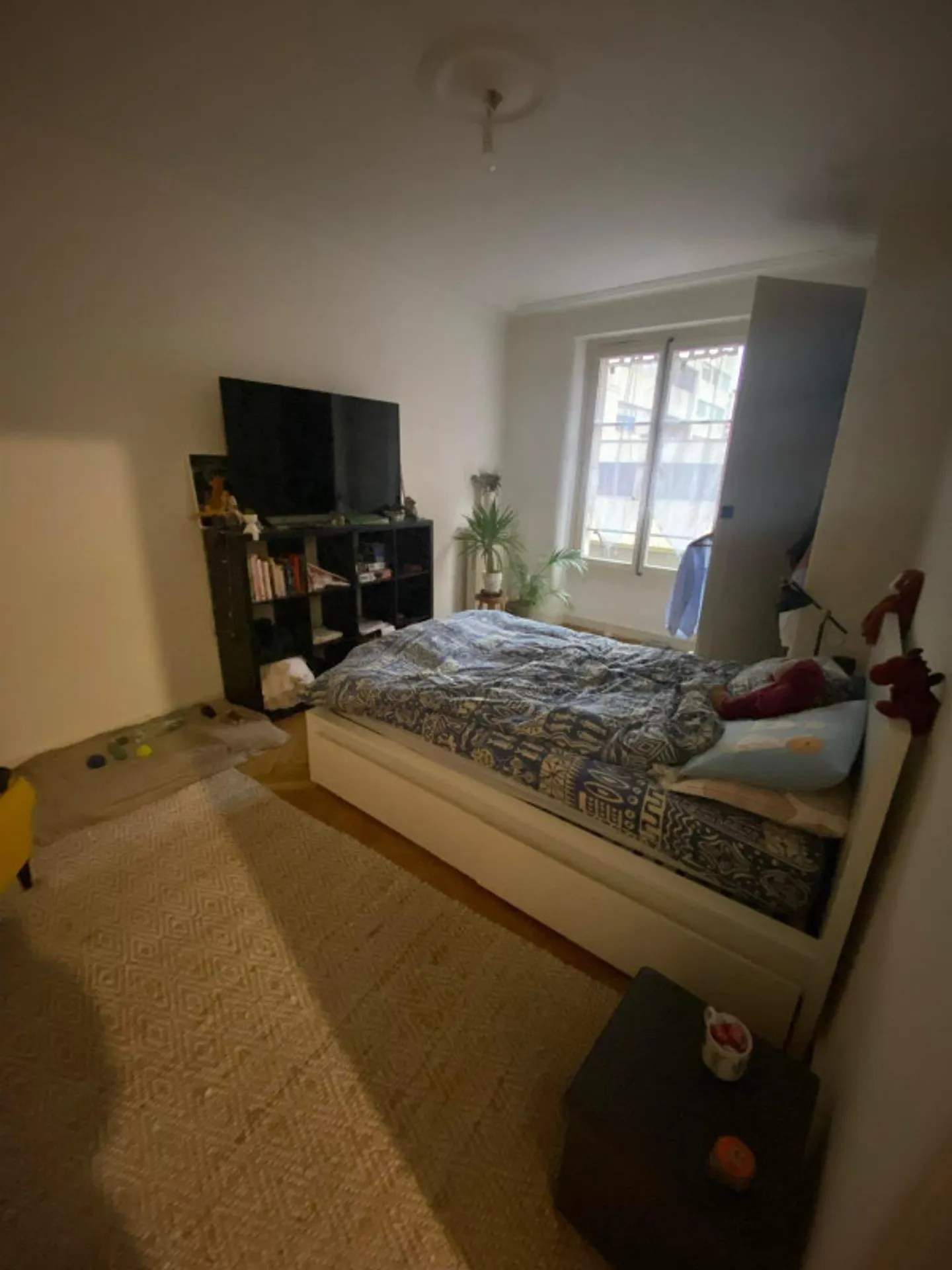 Appartement lumineux à Genève - Photo 11 sur 12