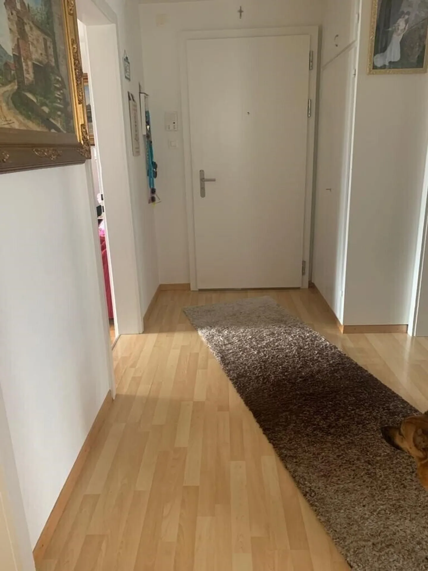 Gemütliche Wohnung im Herzen von Chur zu vermieten! - Foto 8 di 10