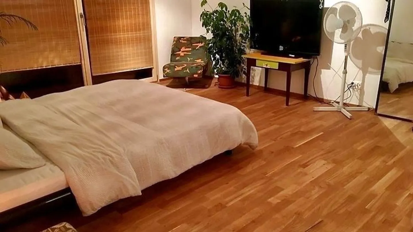 CASA DI 5 CAMERE A OBERWIL (BL), ARREDATA - Foto 5 di 10