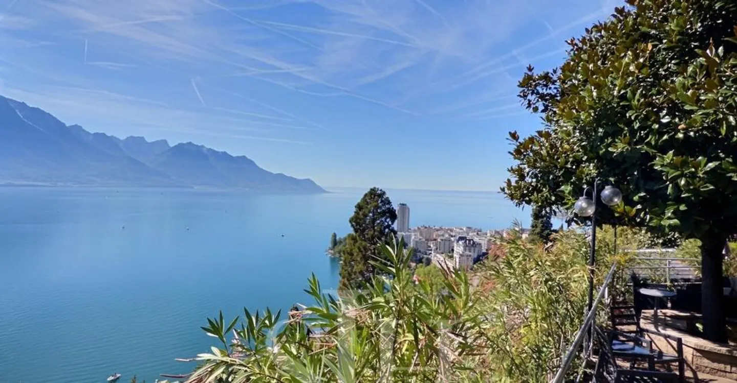 Exclusive Montreux Investment Opportunity - Photo 2 of 10