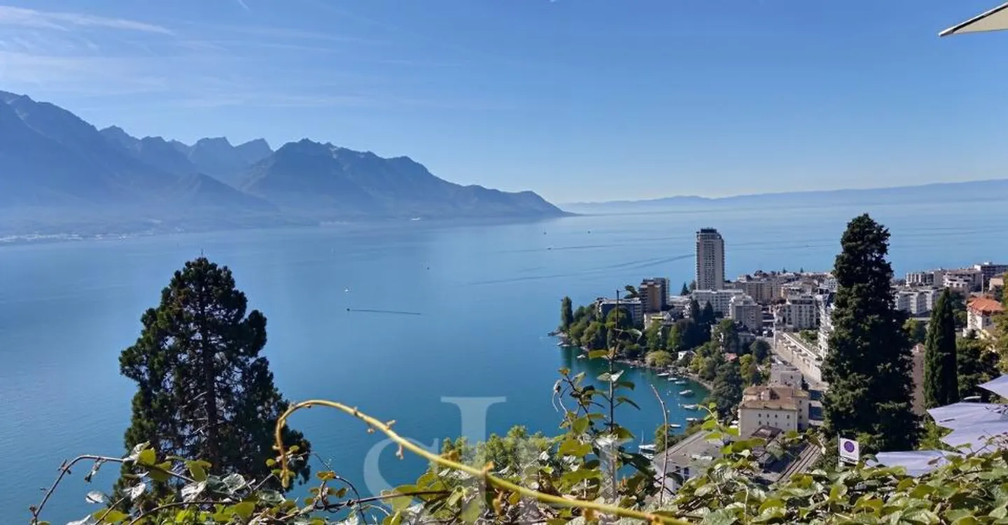 Exclusive Montreux Investment Opportunity - Photo 6 of 10