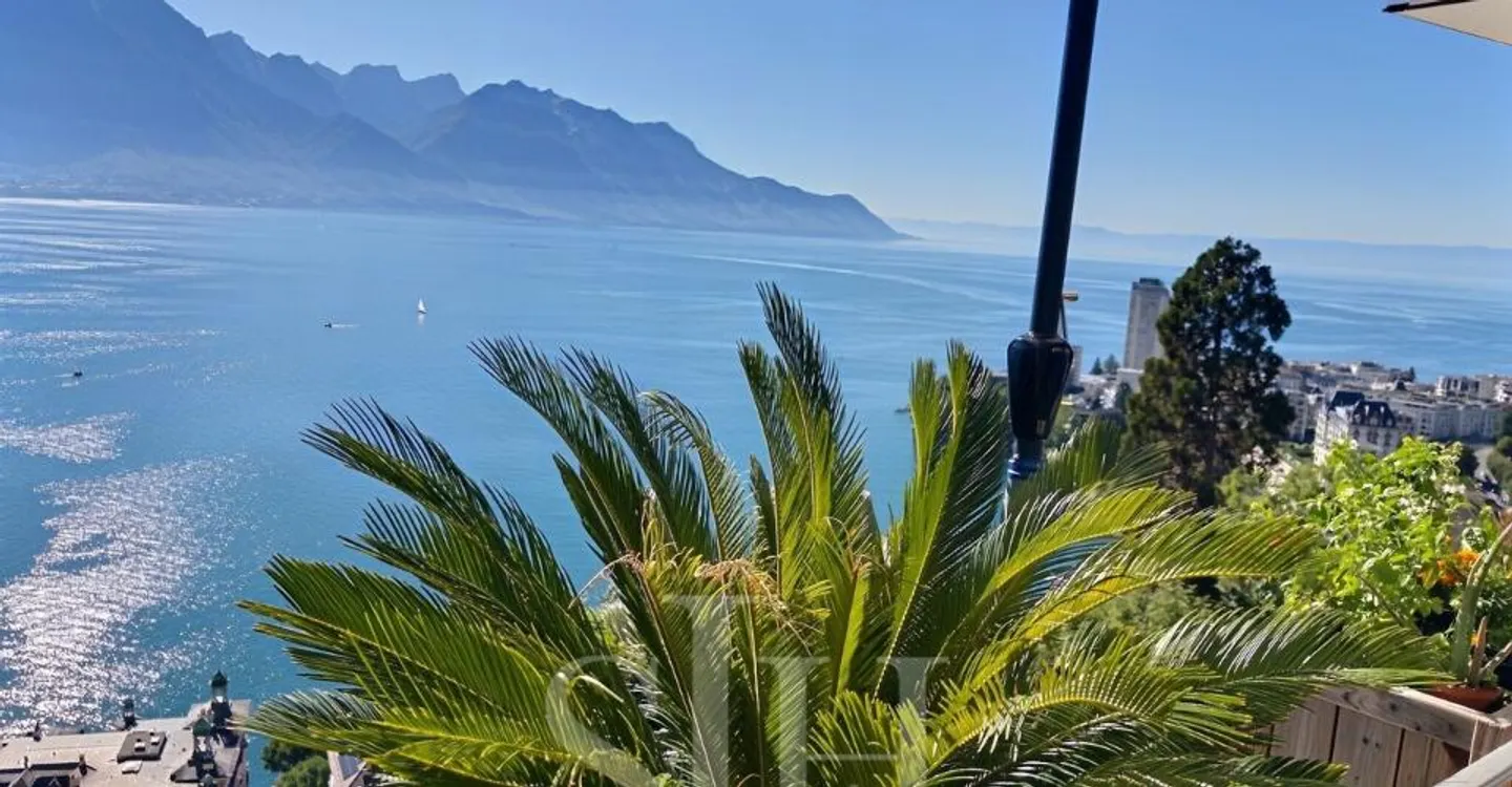 Exclusive Montreux Investment Opportunity - Photo 9 of 10