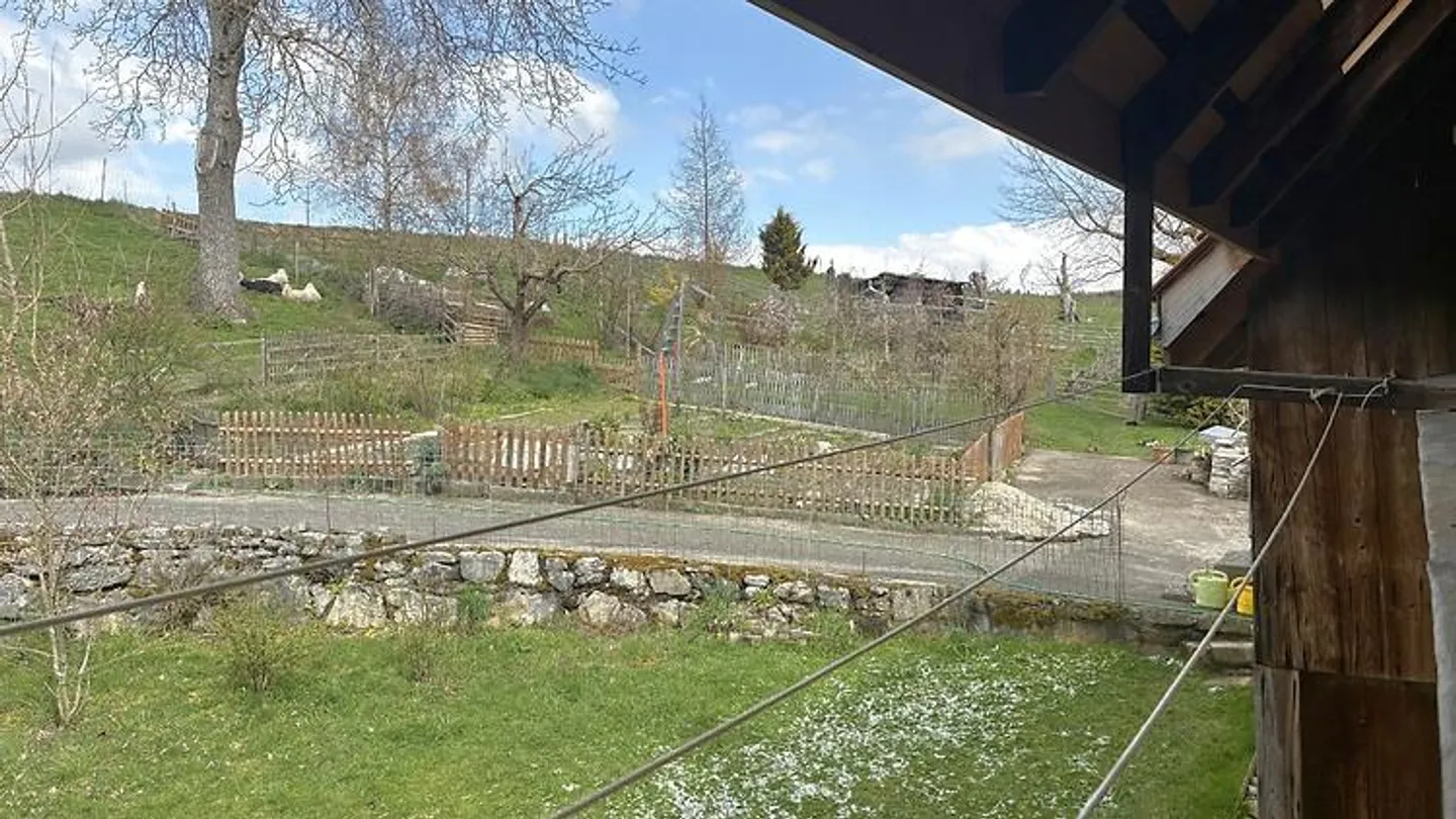 Charming 3½ Room Apartment - Photo 6 of 8