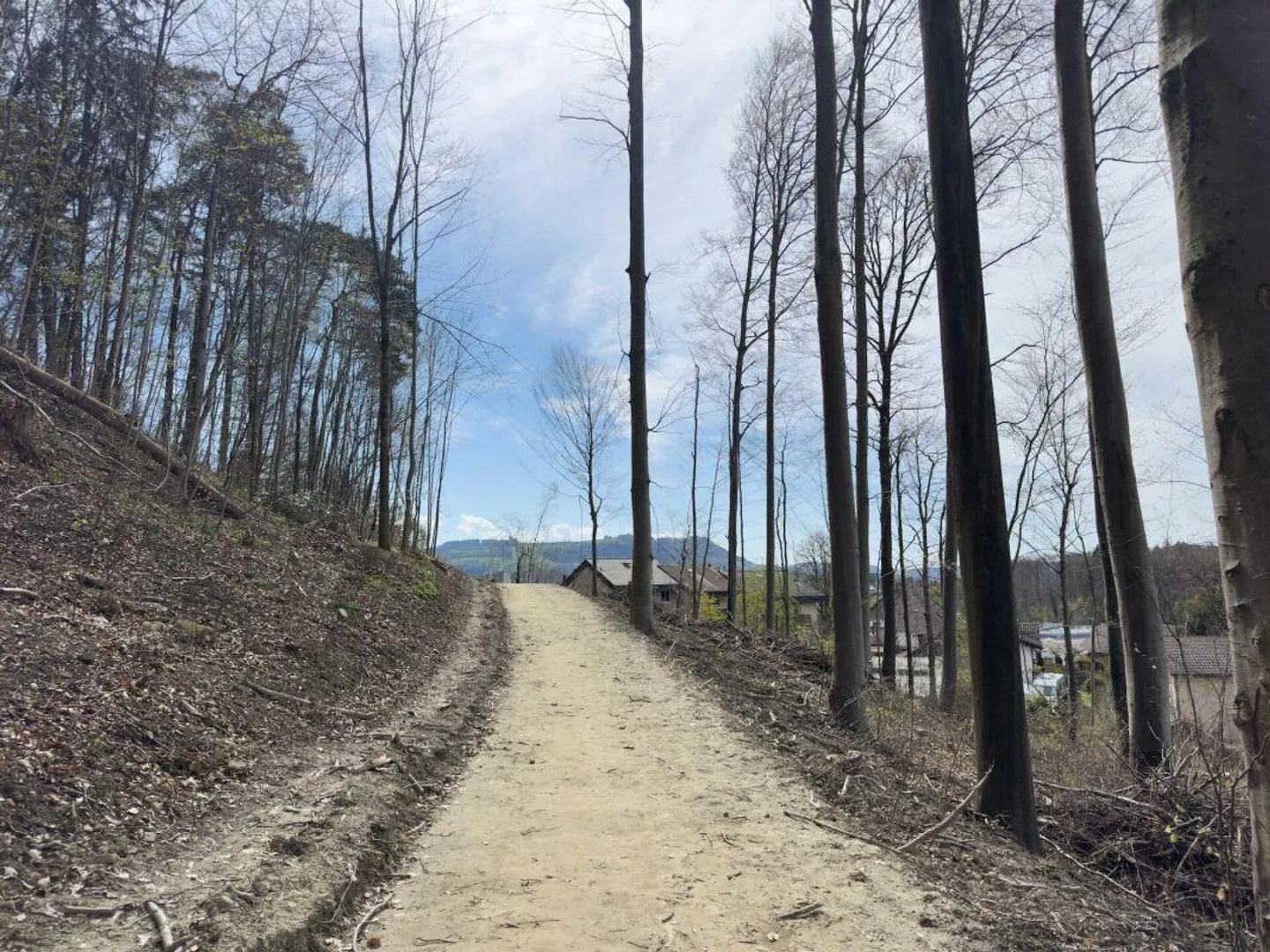 4.5-Room Semi-Detached Single-Family House on an Exceptionally Generous Plot of 948 m² - Photo 29 of 30