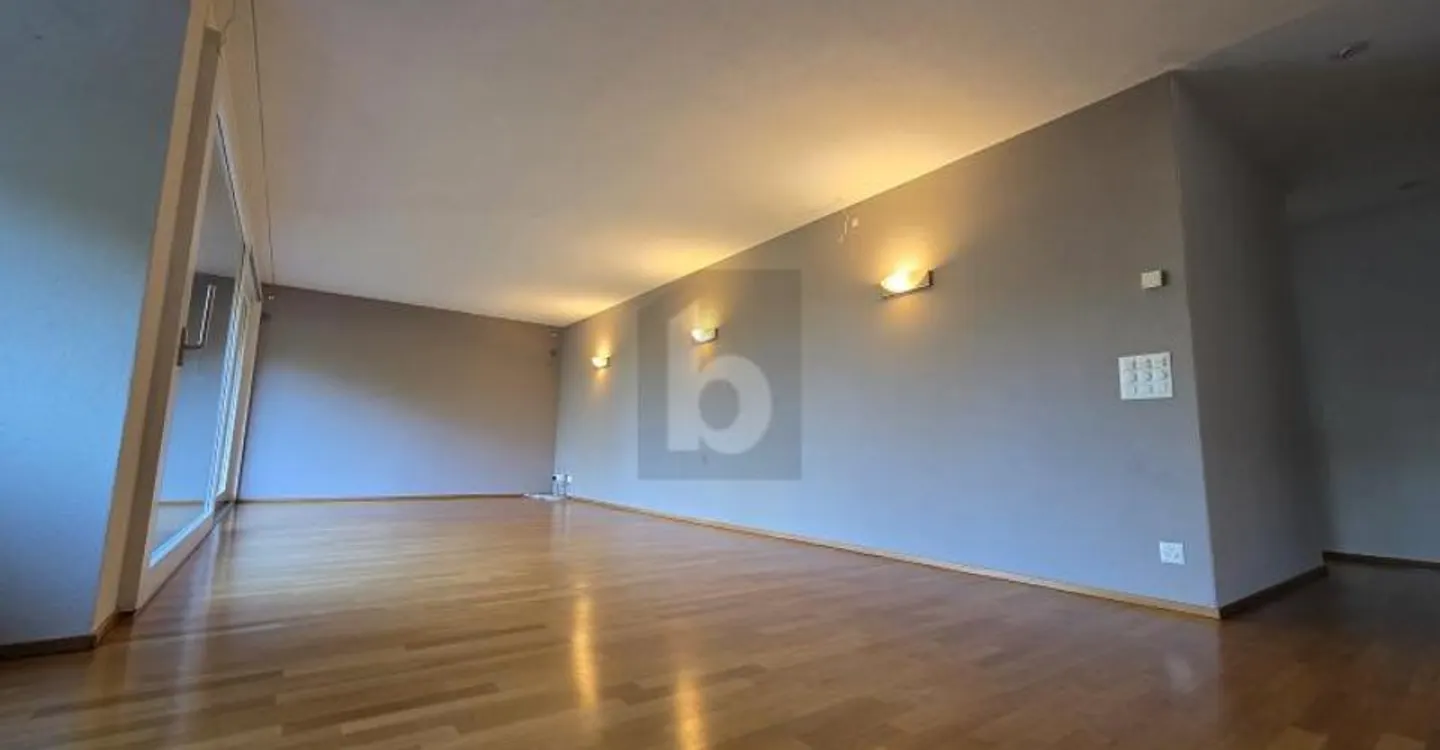 PROFITER DU CALME - AU COEUR DE BADEN! - Photo 2 sur 6