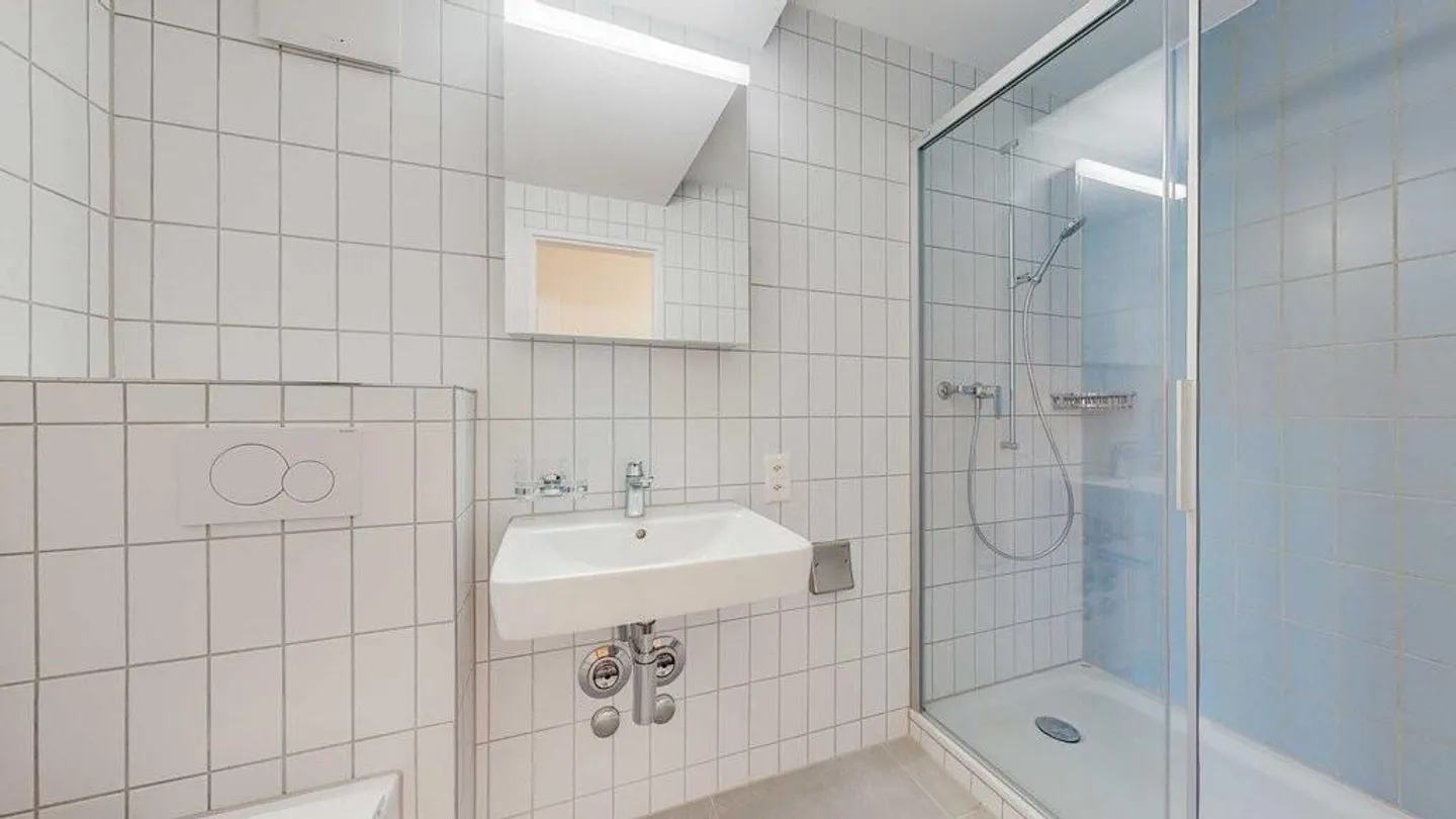 Sonnige, zentrale, frisch renovierte Wohnung - Foto 3 von 8