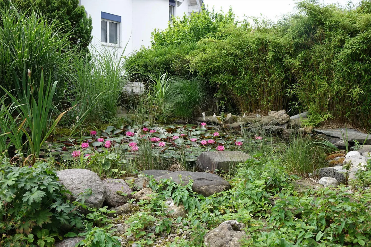 Semi-Detached Family House with Apartment - Photo 12 of 12