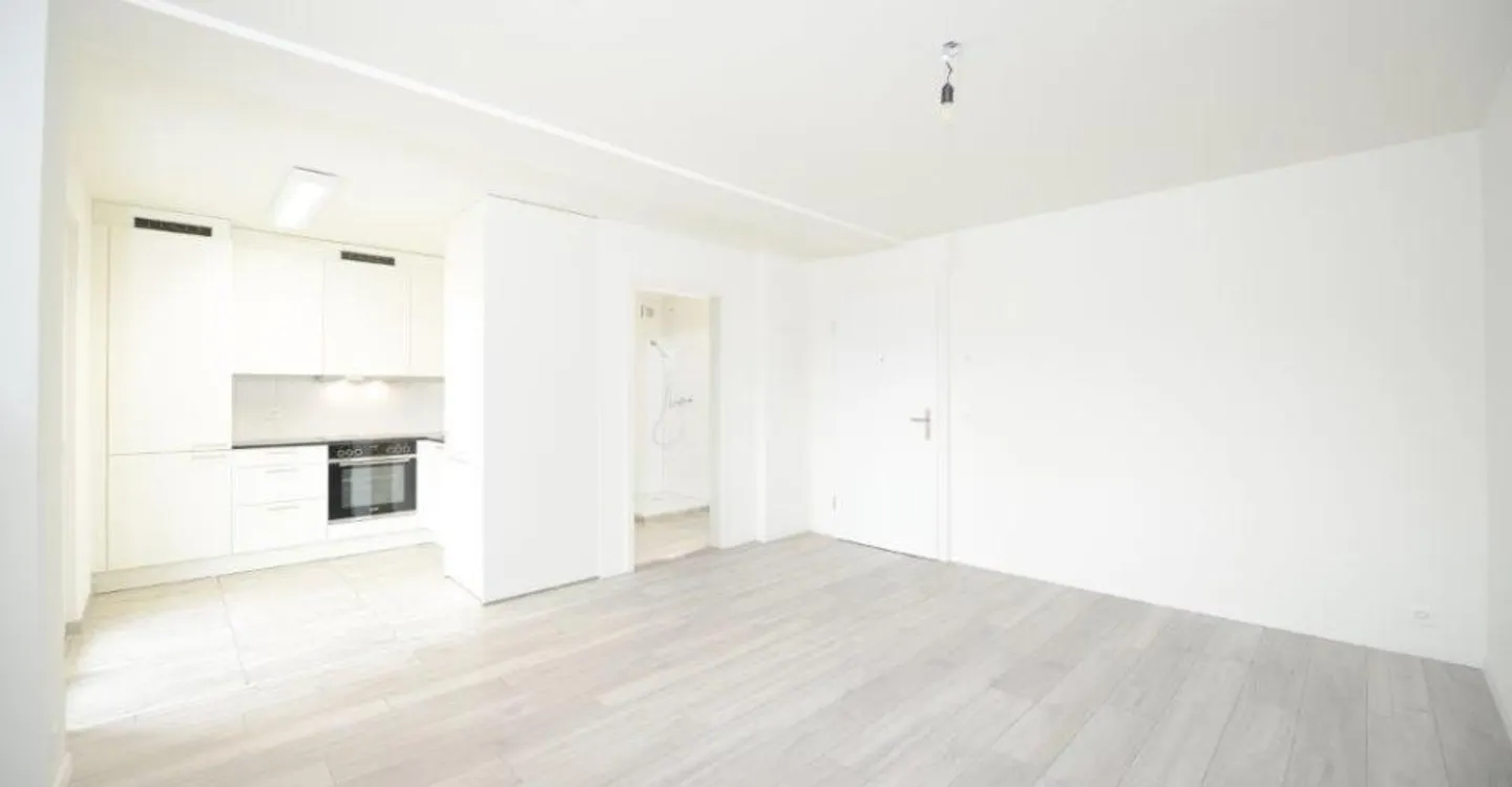 Attractive bright apartment with beautiful views! - Photo 4 of 8