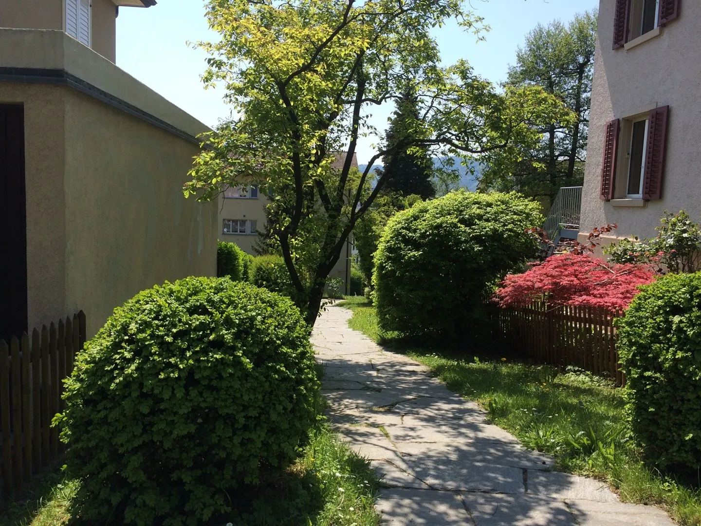 Appartamento 2,5 locali soleggiato - Foto 1 di 8