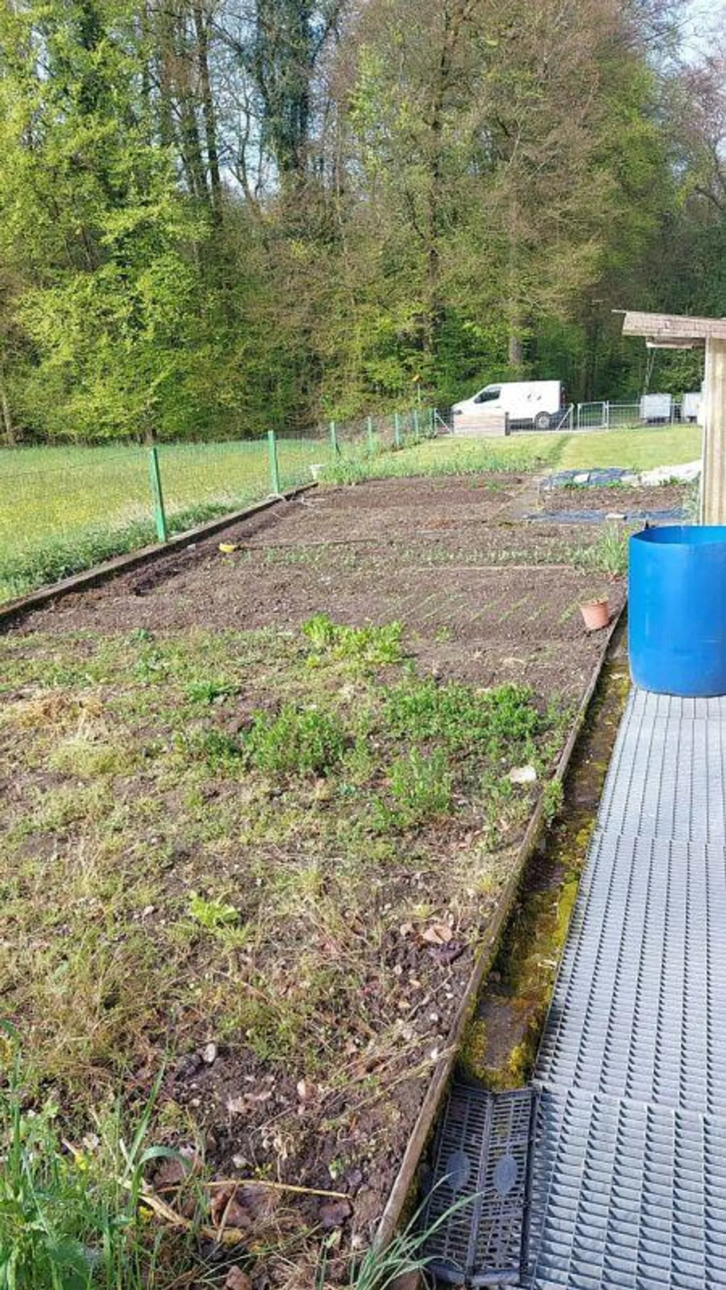 Giardino di allotment in affitto - Foto 4 di 4