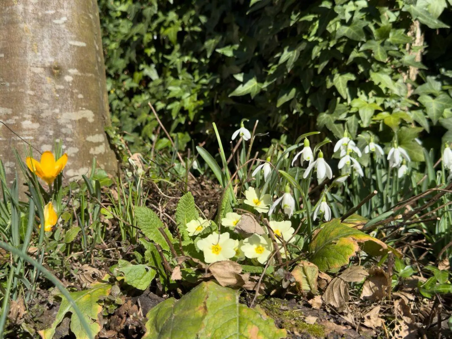 Close to Nature and the City: 5.5-Room Semi-Detached Family House Near Bern and Aare - Photo 22 of 22