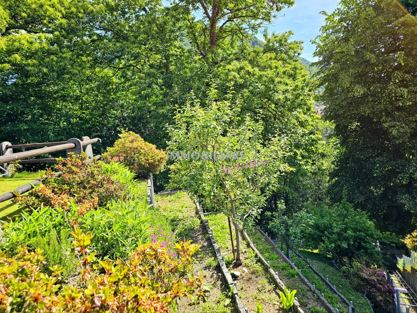 Idilliaco ai margini del bosco, soleggiato, tranquillo, vicino ai mezzi pubblici: Casa con studio separato - Foto 18 di 27