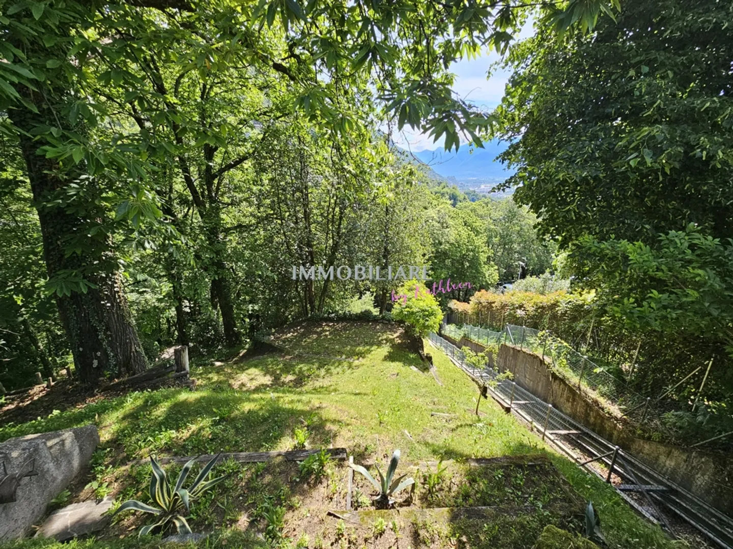 Idilliaco ai margini del bosco, soleggiato, tranquillo, vicino ai mezzi pubblici: Casa con studio separato - Foto 19 di 27
