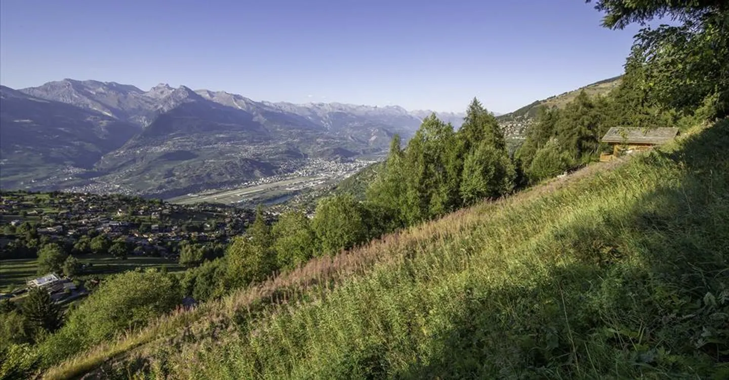 Two building plots, free of mandate with access to the Bisse - Photo 6 of 11