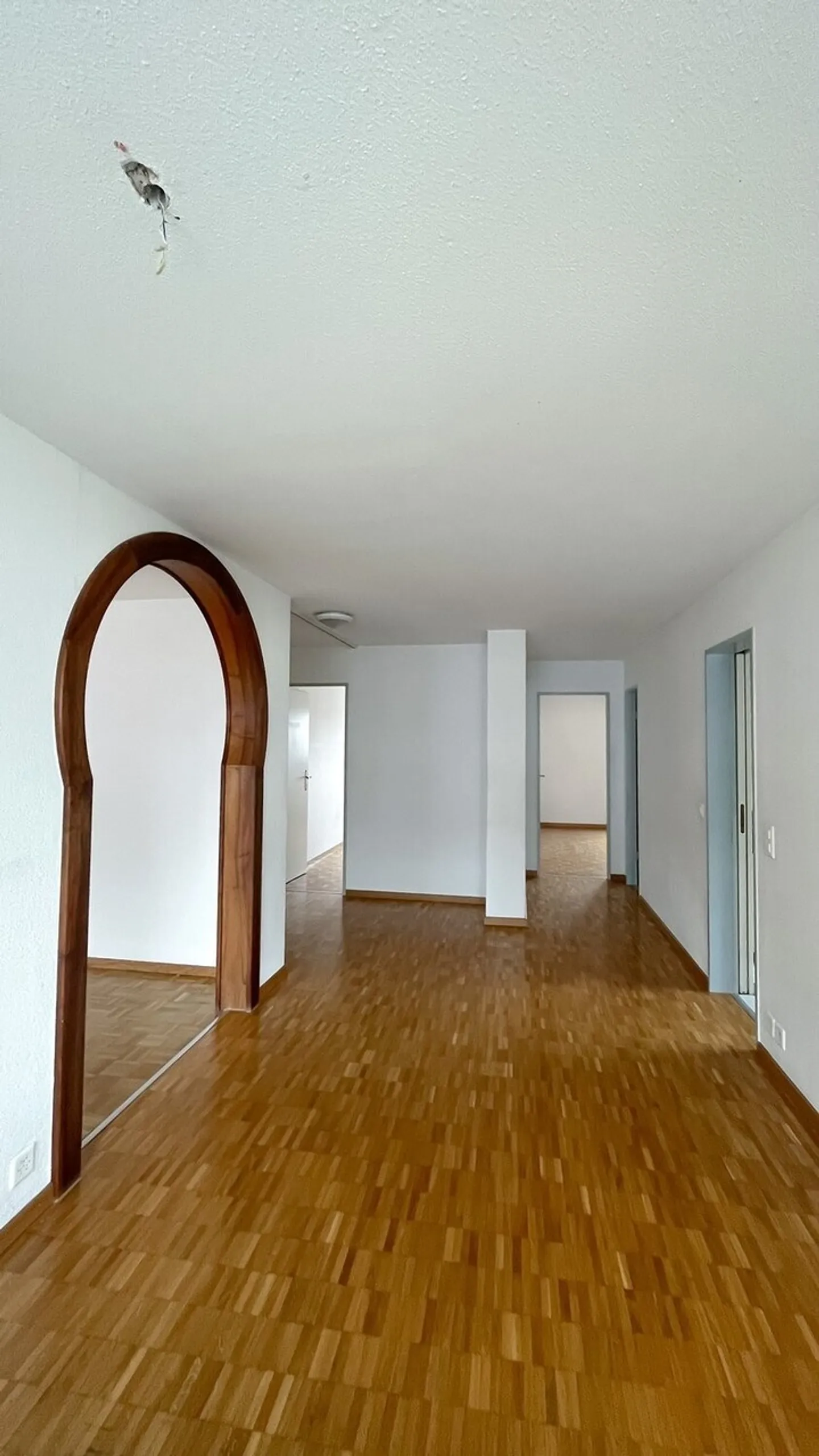 Ampio appartamento 4.5 locali - Foto 2 di 7