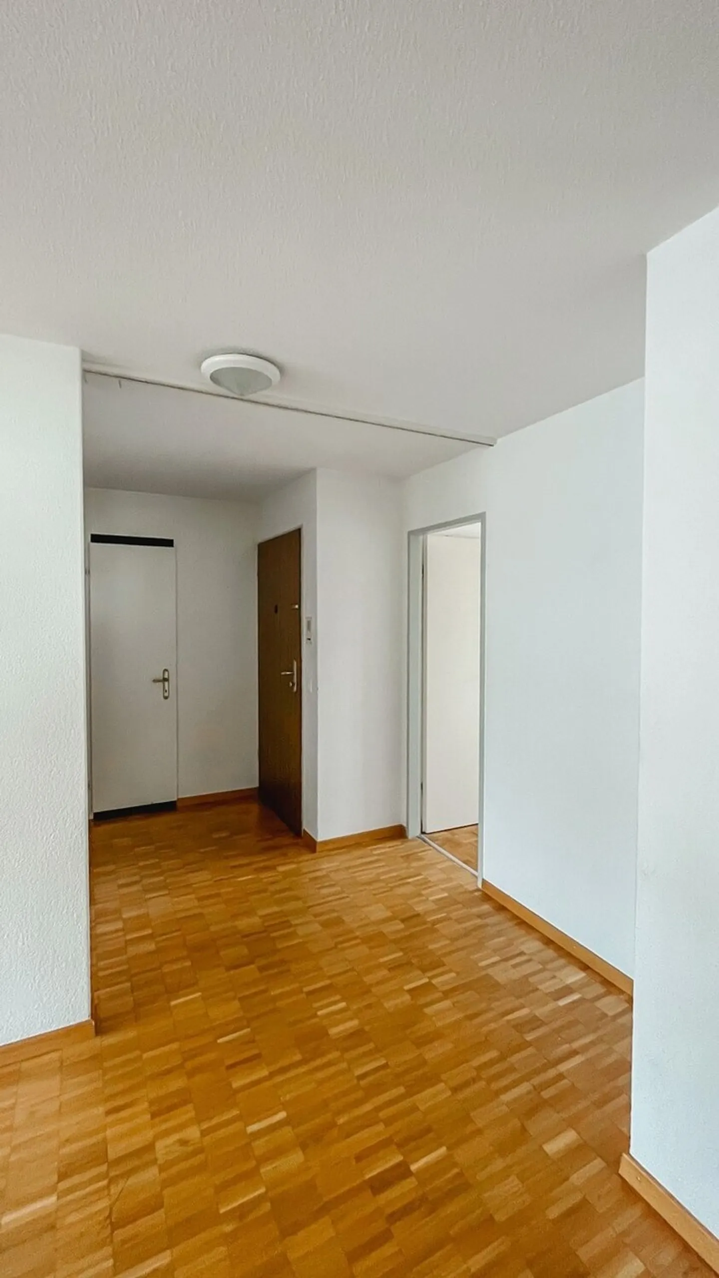 Ampio appartamento 4.5 locali - Foto 3 di 7