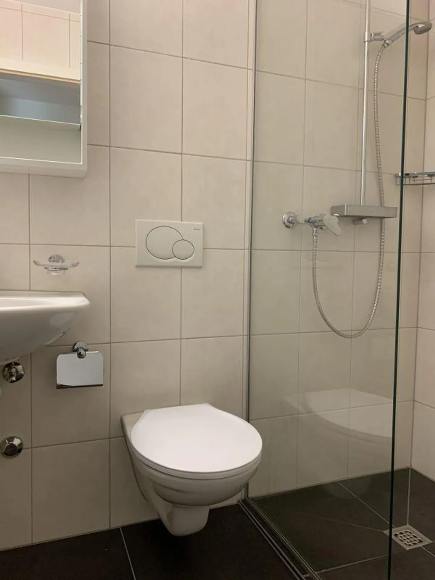 Gemütliche Wohnung in Emmenbrücke - Foto 5 von 5