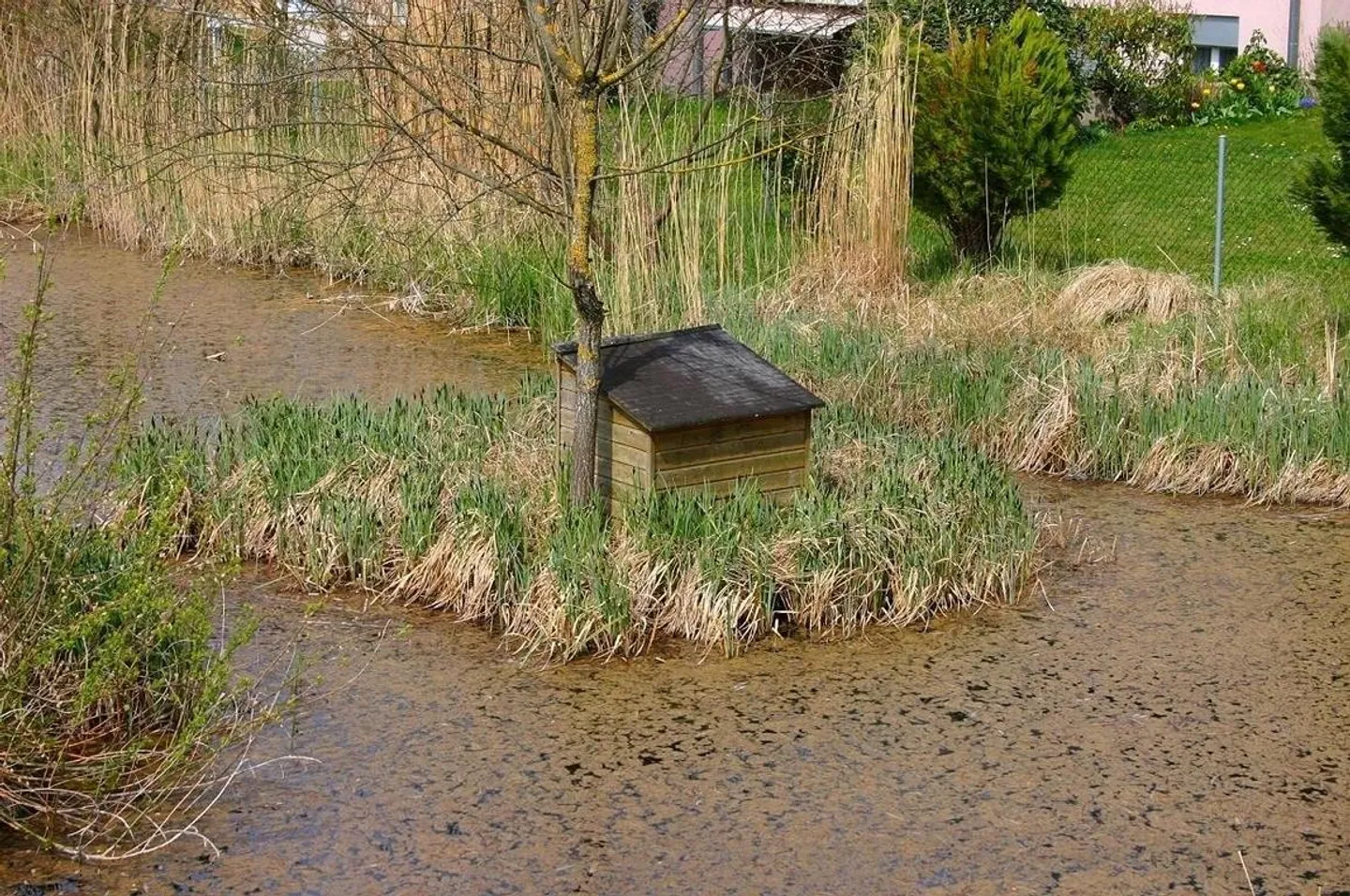 Rein ins Wohnglück! - Foto 7 von 11