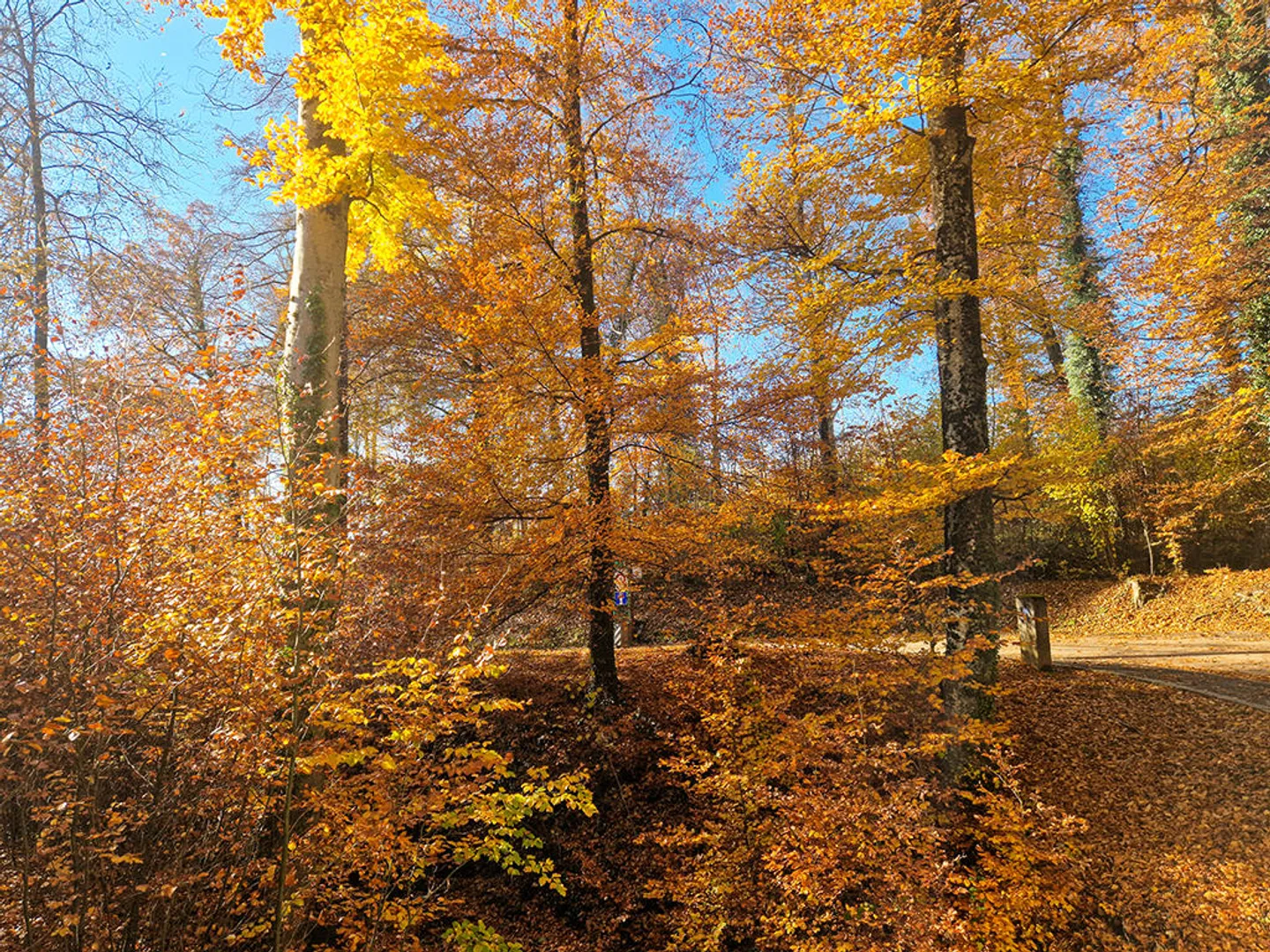 Appartamento 4.5 stanze - Foto 1 di 3