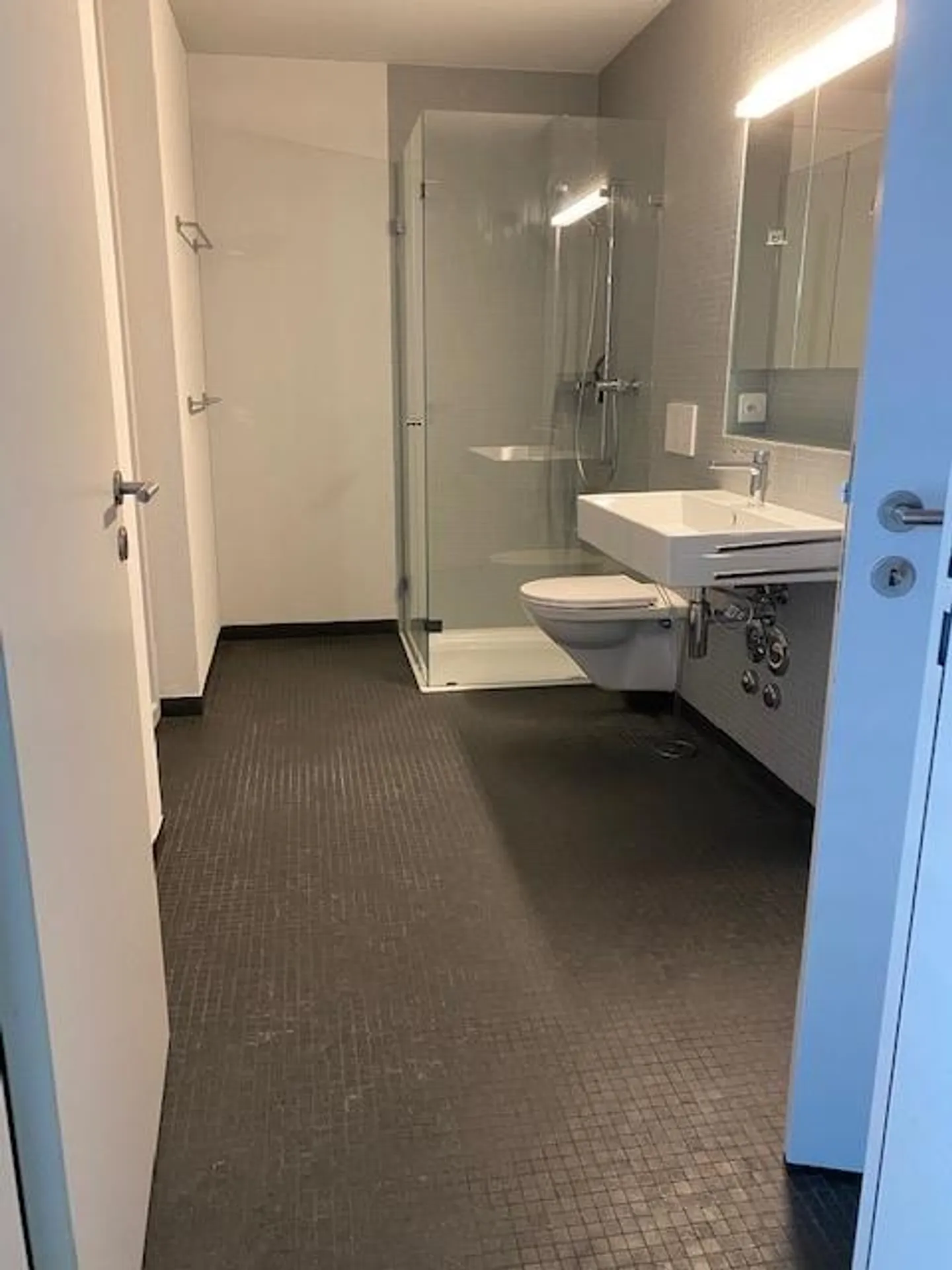 Nature-oriented living directly on the Limmat - Photo 5 of 5