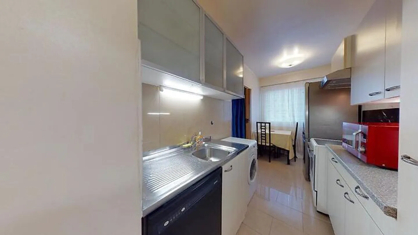 4-ZIMMER-WOHNUNG IN GENF - LANCY, MÖBLIERT - Foto 5 von 10