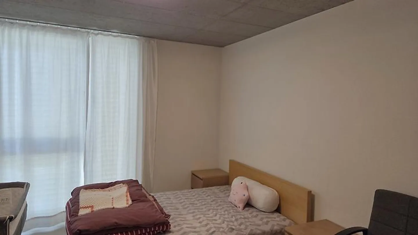 APPARTEMENT 3½ PIÈCES À SCHLIEREN (ZH), MEUBLÉ, TEMPORAIRE - Photo 8 sur 12