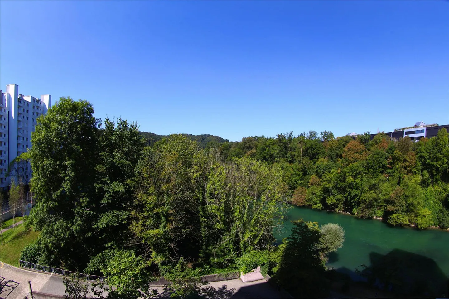 Joy of Life Begins at Home - Photo 11 of 12