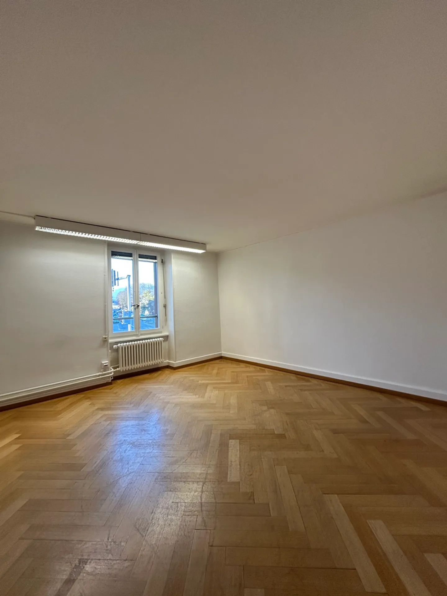 Commercio - Foto 4 di 6