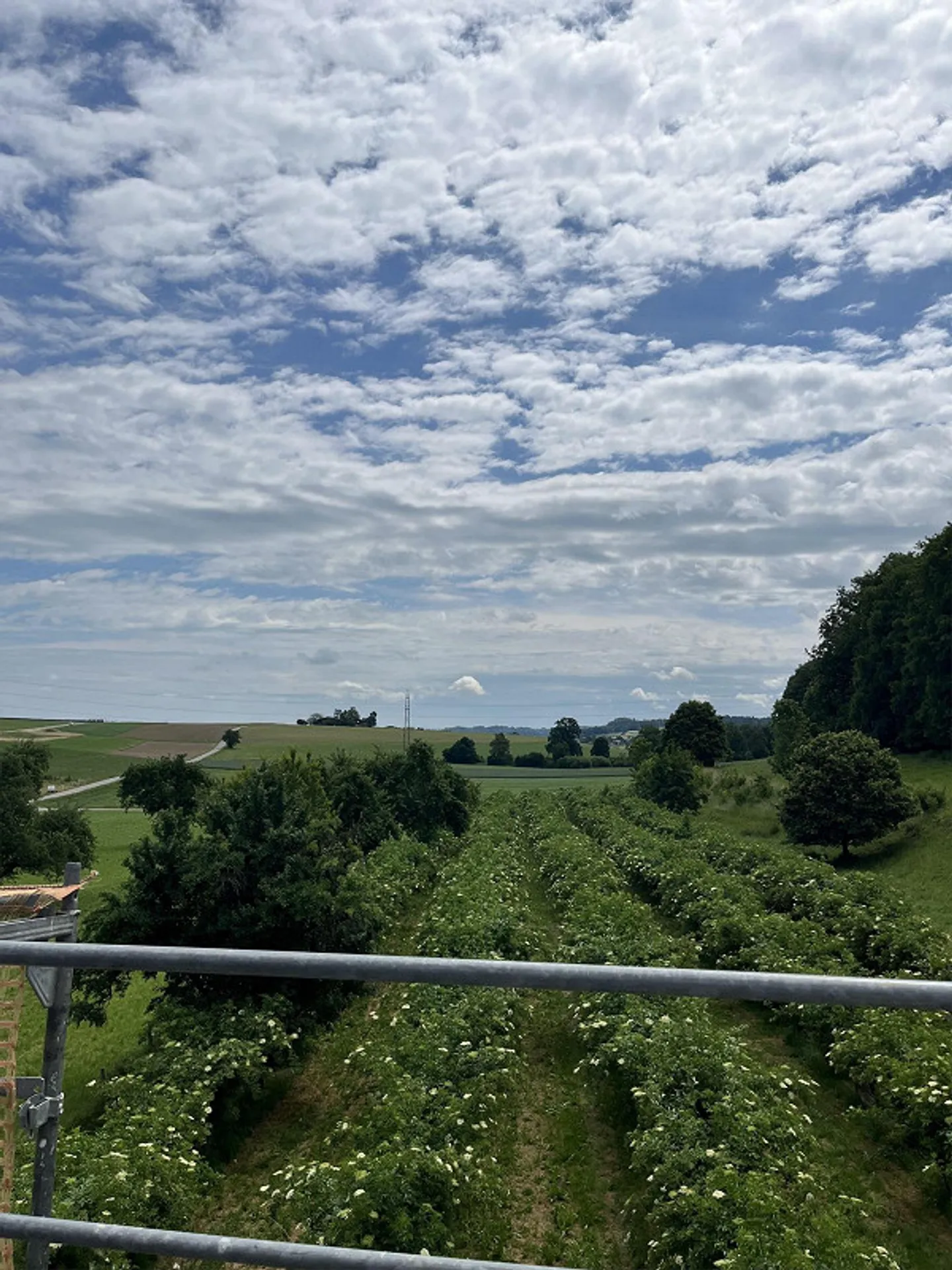 Appartamento attico di 4,5 stanze a Mettlen - Foto 5 di 10