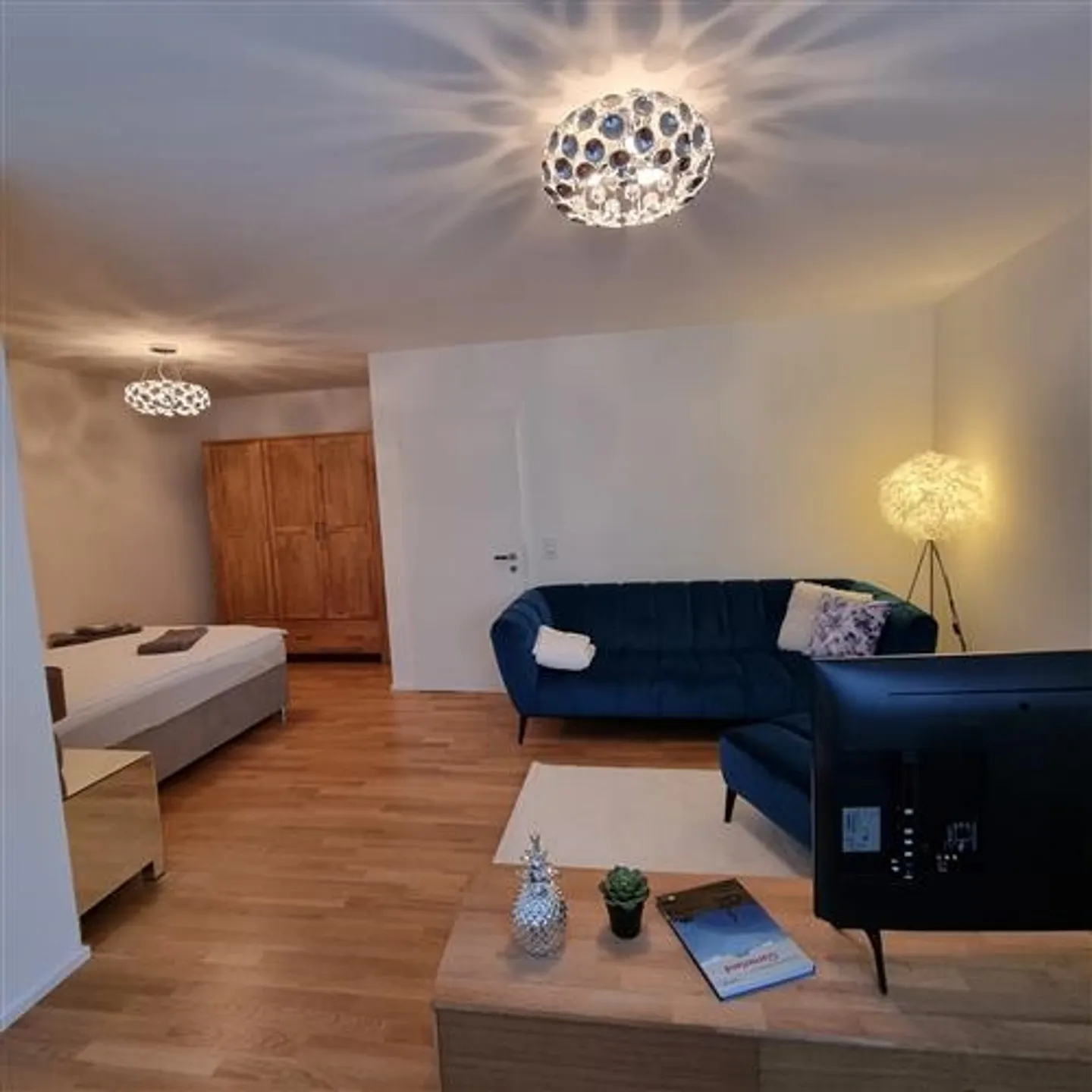 Appartement meublé 1,5 pièces - Photo 2 sur 5