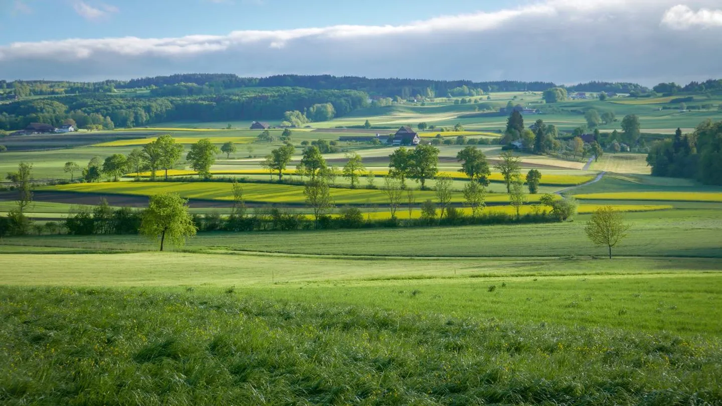 Appartement en maisonette situé au calme 4.5 pièces appartement neuf Année de construction 2001 - Photo 1 sur 18