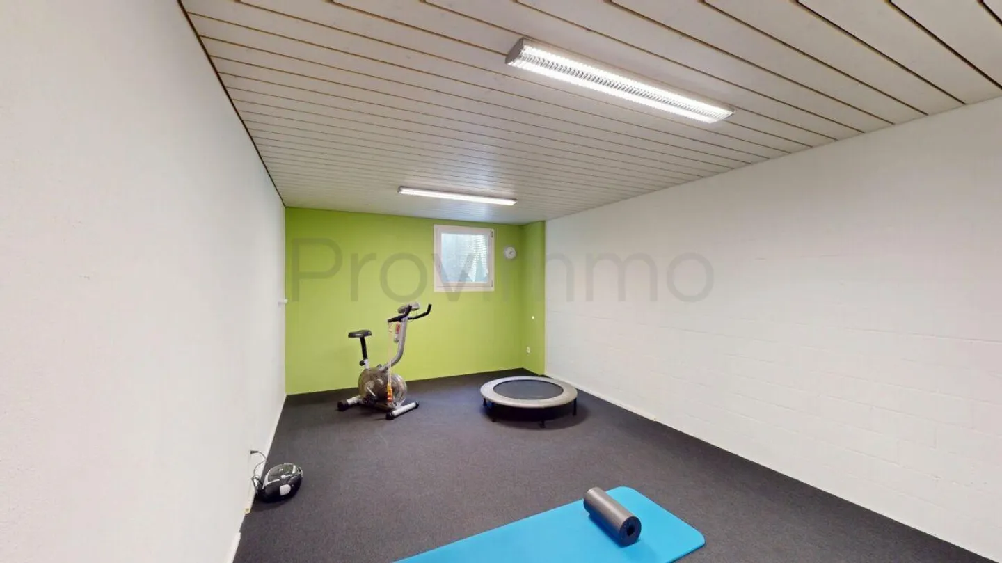 7.5-Room Single-Family House in Erlinsbach AG - Photo 21 of 22