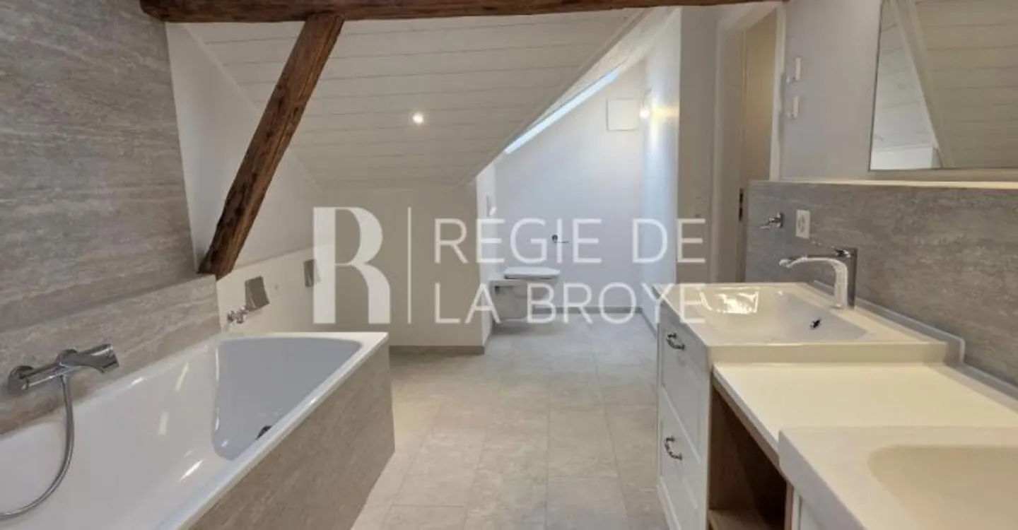 Spacious 3.5 rooms in the attic - Photo 9 of 11