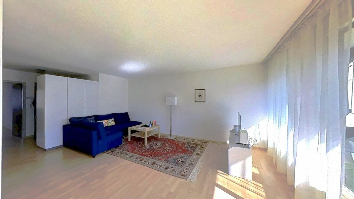 AgentSelly - Bright 2.5-Room Apartment with Great Potential - Photo 4 of 13