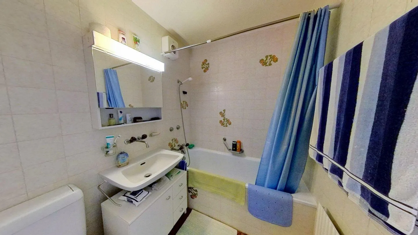 AgentSelly - Bright 2.5-Room Apartment with Great Potential - Photo 9 of 13